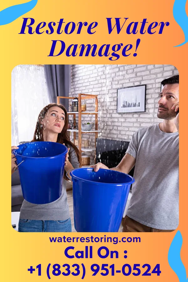water restoration Vanguard Cleanup Masters Carson Valley