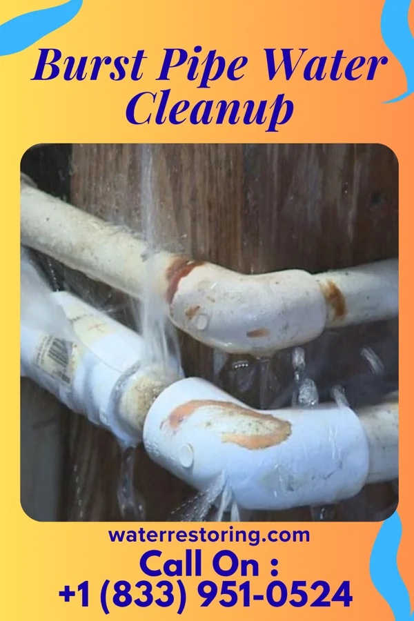 Burst Pipe Water Cleanup in Carson Valley, PA
