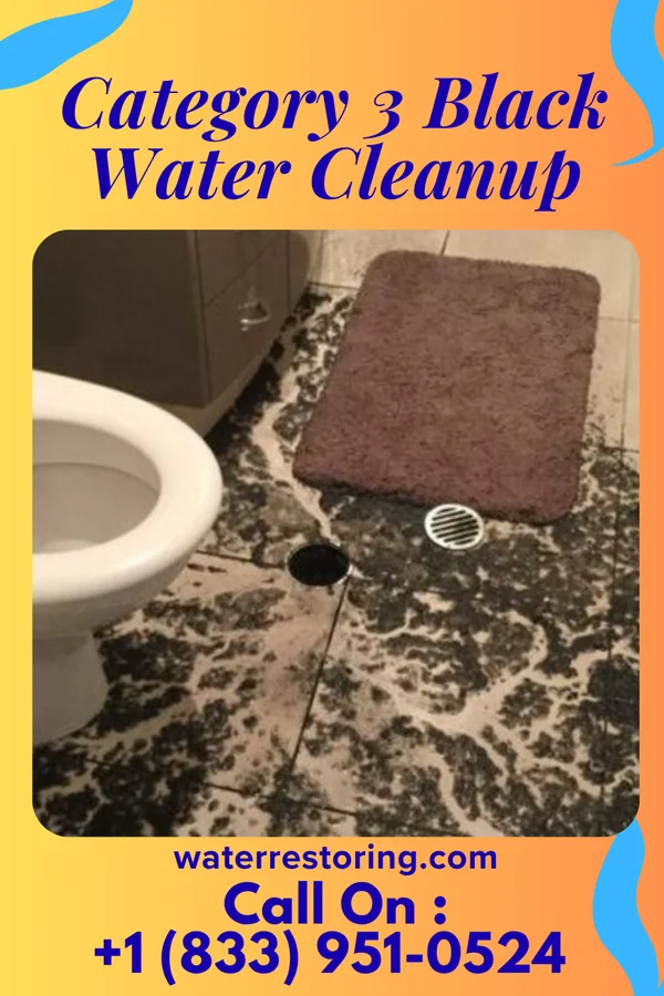 Category 3 Black Water Cleanup in Carson Valley, PA