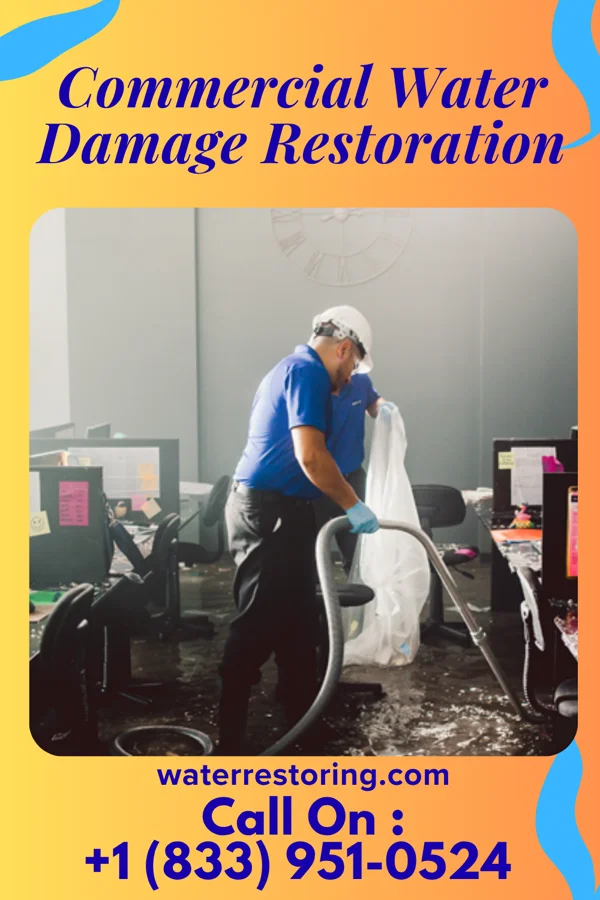Commercial Water Damage Restoration in Carson Valley, PA