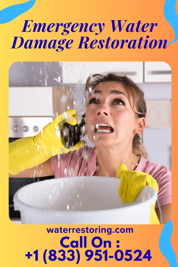 Emergency Water Damage Restoration in Carson Valley, PA