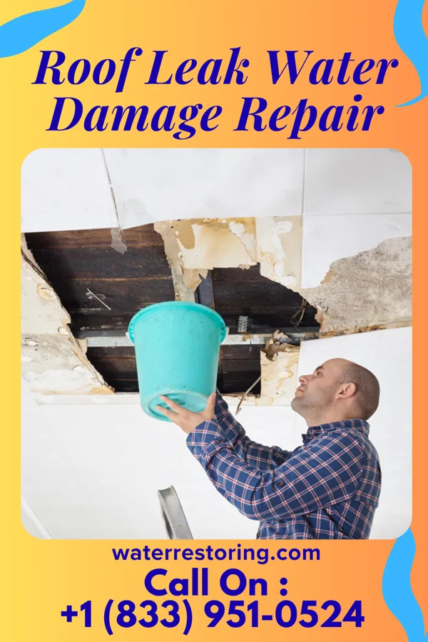 Roof Leak Water Damage Repair in Carson Valley, PA