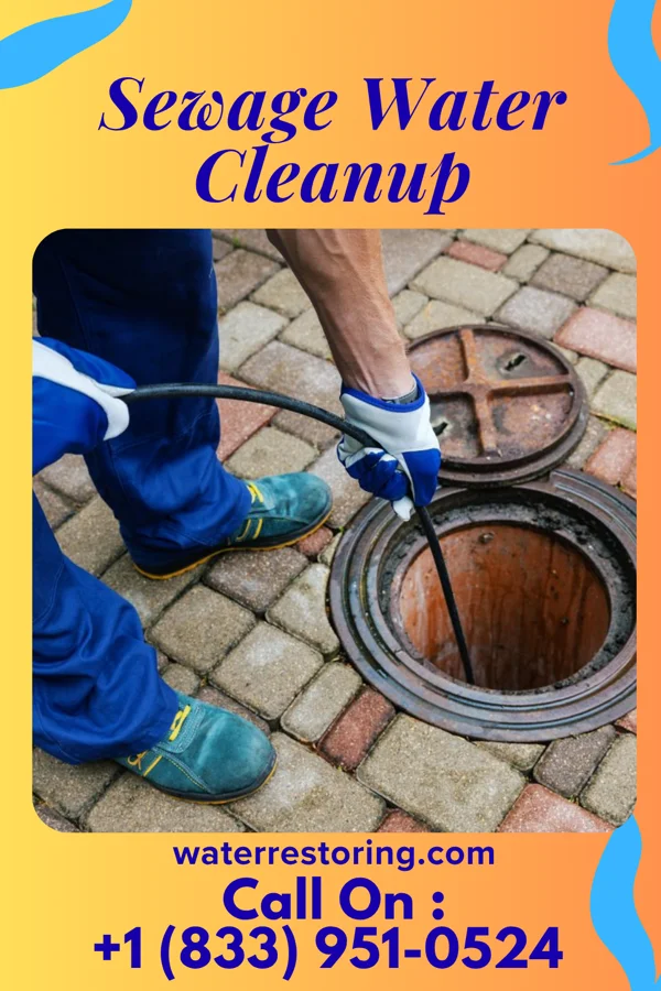 Sewage Water Cleanup in Carson Valley, PA